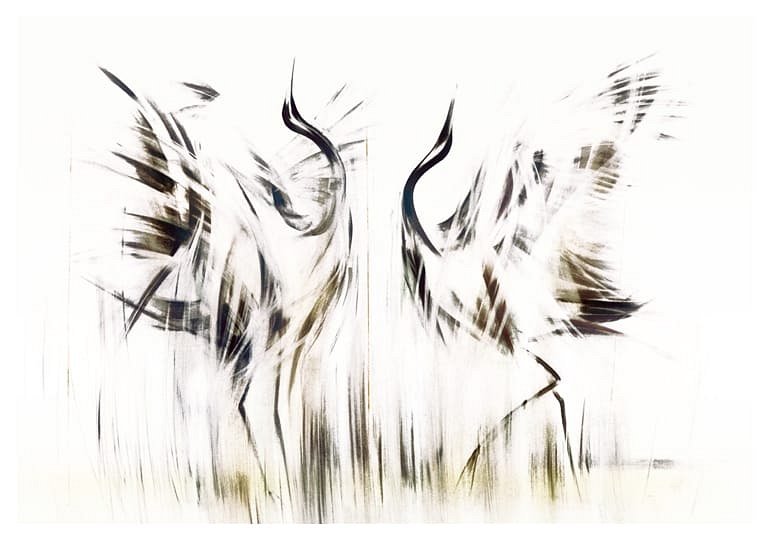 obraz z tańczącymi żurawiami